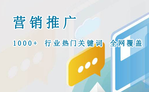 網(wǎng)絡(luò)營(yíng)銷(xiāo)推廣